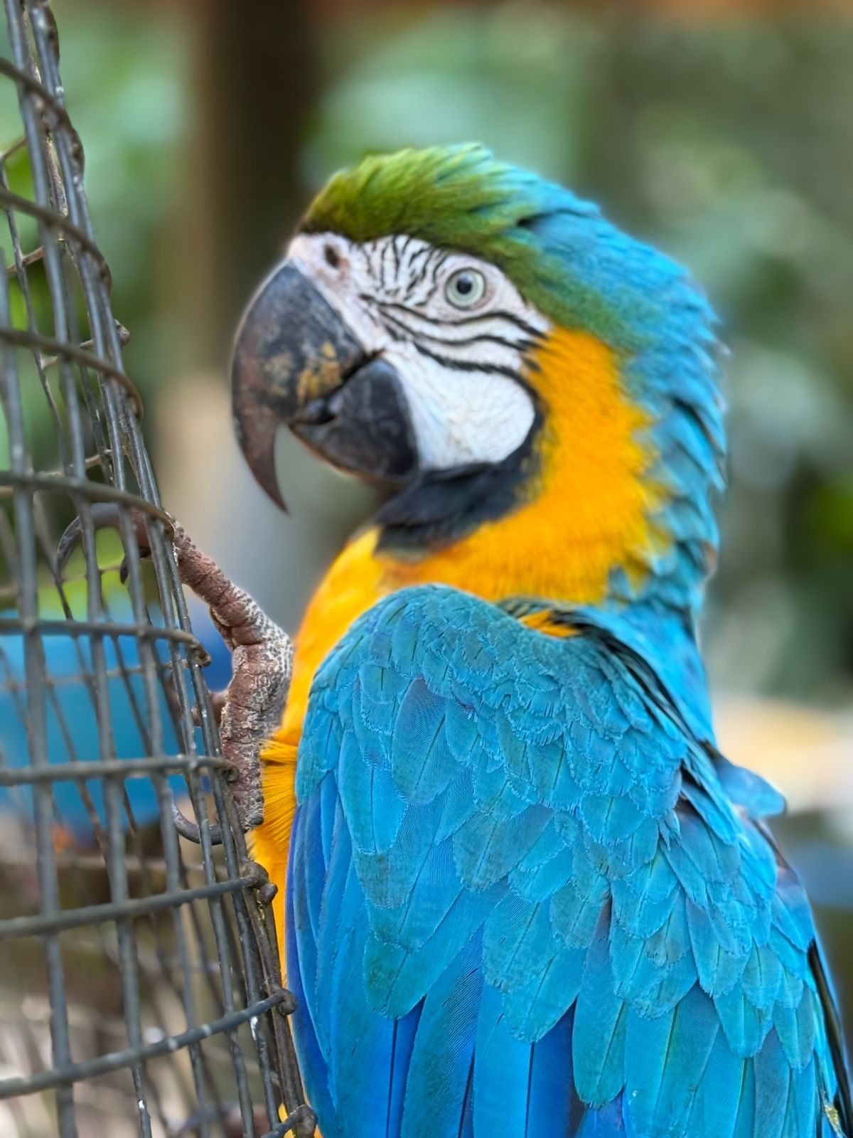 Brazil Tour Explorer | Book Tours, Tickets & Travel Experiences Online
