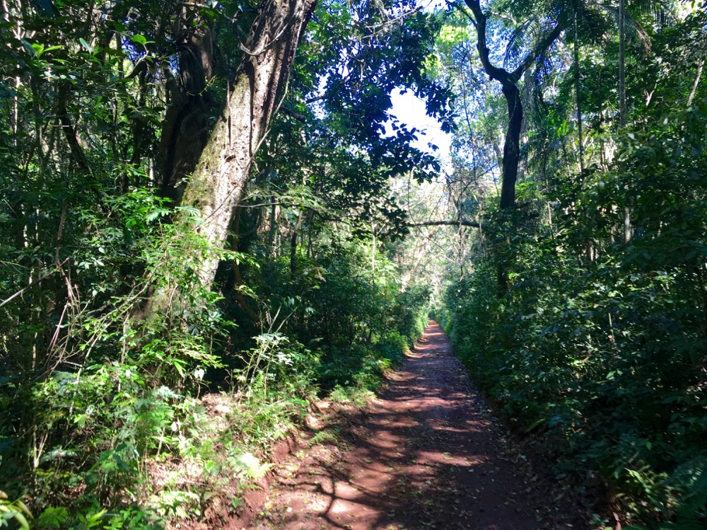 Brazil Tour Explorer | Book Tours, Tickets & Travel Experiences Online